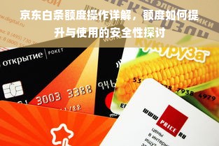 京东白条额度操作详解，额度如何提升与使用的安全性探讨