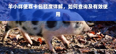 羊小咩便荔卡包额度详解，如何查询及有效使用