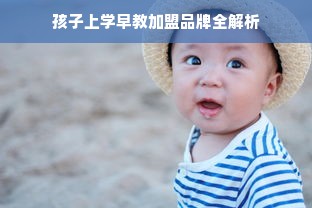 孩子上学早教加盟品牌全解析