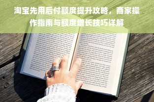 淘宝先用后付额度提升攻略，商家操作指南与额度增长技巧详解