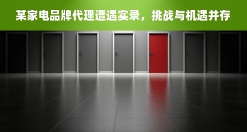 某家电品牌代理遭遇实录，挑战与机遇并存