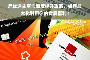 鹿优选先享卡额度提升攻略，如何最大化利用你的专属福利？