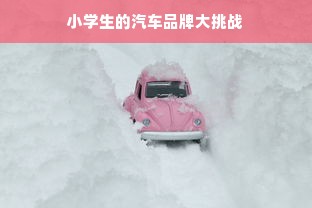小学生的汽车品牌大挑战