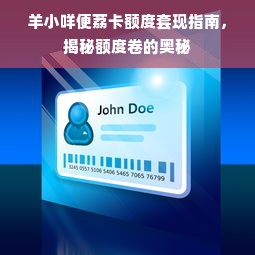 羊小咩便荔卡额度套现指南，揭秘额度卷的奥秘