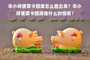 羊小咩便荔卡额度怎么套出来？羊小咩便荔卡额度卷什么时候有？