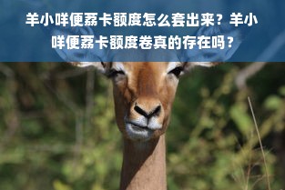 羊小咩便荔卡额度怎么套出来？羊小咩便荔卡额度卷真的存在吗？