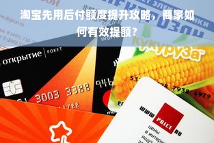 淘宝先用后付额度提升攻略，商家如何有效提额？