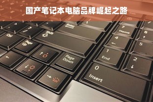 国产笔记本电脑品牌崛起之路