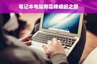 笔记本电脑新品牌崛起之路