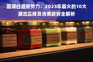 国潮白酒新势力，2023年最火的10大潮流品牌及消费趋势全解析