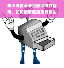 羊小咩便荔卡包额度操作指南，如何套取额度及查看影响