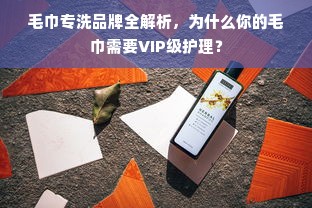 毛巾专洗品牌全解析，为什么你的毛巾需要VIP级护理？