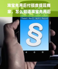 淘宝先用后付额度提现商家，怎么知道淘宝先用后付的额度？