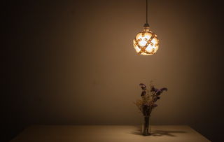 哈尔滨家居灯具品牌全解析