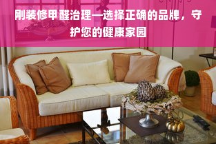 刚装修甲醛治理—选择正确的品牌，守护您的健康家园