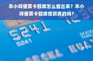 羊小咩便荔卡额度怎么套出来？羊小咩便荔卡额度借款真的吗？