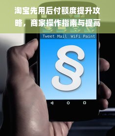 淘宝先用后付额度提升攻略，商家操作指南与提高额度实用技巧