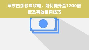 京东白条额度攻略，如何提升至1200额度及有效使用技巧