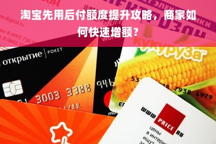 淘宝先用后付额度提升攻略，商家如何快速增额？