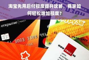 淘宝先用后付额度提升攻略，商家如何轻松增加额度？