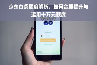 京东白条额度解析，如何合理提升与运用十万元额度