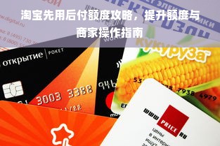 淘宝先用后付额度攻略，提升额度与商家操作指南