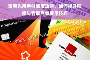 淘宝先用后付额度攻略，如何提升额度与套取商家使用技巧