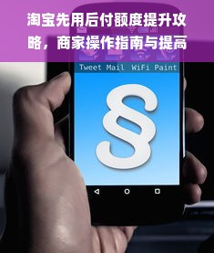 淘宝先用后付额度提升攻略，商家操作指南与提高额度的实用技巧
