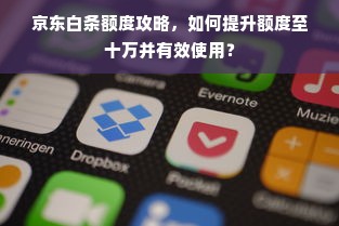 京东白条额度攻略，如何提升额度至十万并有效使用？