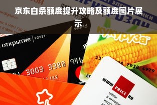 京东白条额度提升攻略及额度图片展示