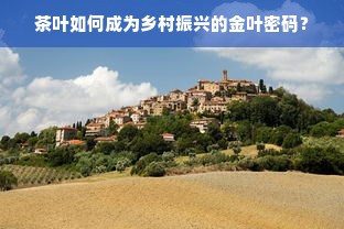 茶叶如何成为乡村振兴的金叶密码？