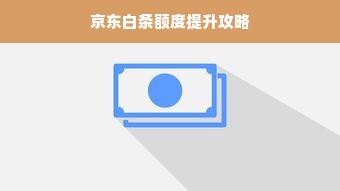 京东白条额度提升攻略