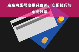 京东白条额度提升攻略，实用技巧与案例分享