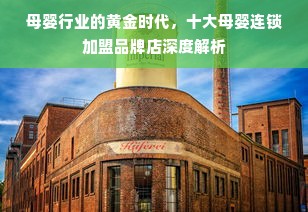 母婴行业的黄金时代，十大母婴连锁加盟品牌店深度解析
