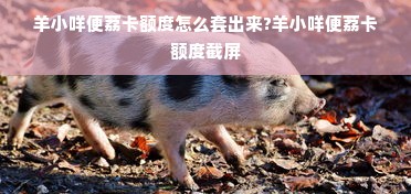 羊小咩便荔卡额度怎么套出来?羊小咩便荔卡额度截屏