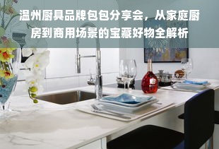 温州厨具品牌包包分享会，从家庭厨房到商用场景的宝藏好物全解析