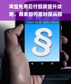 淘宝先用后付额度提升攻略，商家如何临时提高额度？