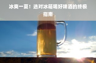 冰爽一夏！选对冰箱喝好啤酒的终极指南