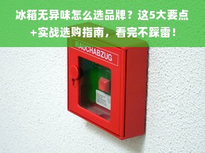 冰箱无异味怎么选品牌？这5大要点+实战选购指南，看完不踩雷！