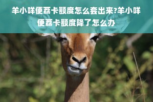 羊小咩便荔卡额度怎么套出来?羊小咩便荔卡额度降了怎么办