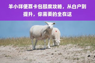 羊小咩便荔卡包额度攻略，从白户到提升，你需要的全在这