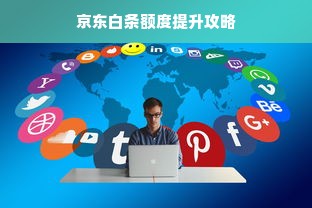 京东白条额度提升攻略
