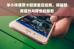 羊小咩便荔卡额度套现指南，揭秘额度提升与降低的秘密