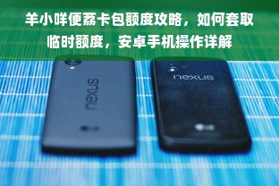 羊小咩便荔卡包额度攻略，如何套取临时额度，安卓手机操作详解