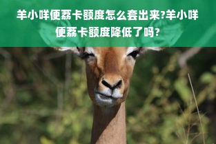 羊小咩便荔卡额度怎么套出来?羊小咩便荔卡额度降低了吗?