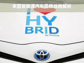 丰田新能源汽车品牌战略解析