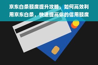 京东白条额度提升攻略，如何高效利用京东白条，快速提高你的信用额度