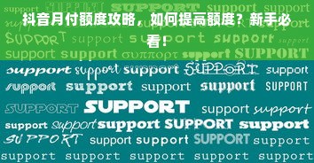 抖音月付额度攻略，如何提高额度？新手必看！