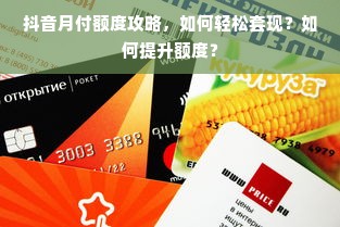 抖音月付额度攻略，如何轻松套现？如何提升额度？