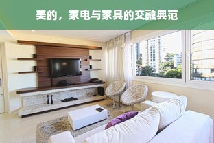 美的，家电与家具的交融典范